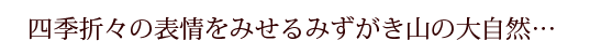 四季折々の表情をみせるみずがき山の大自然…
